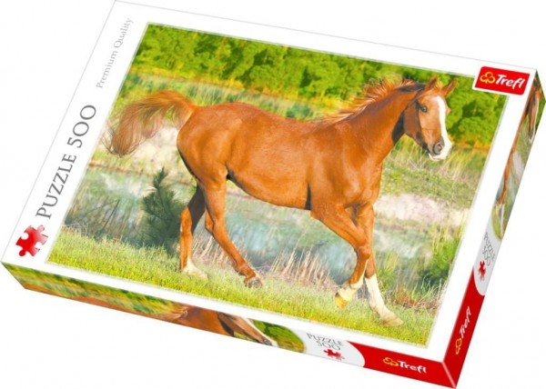 Puzzle 500 Teile, sortiert