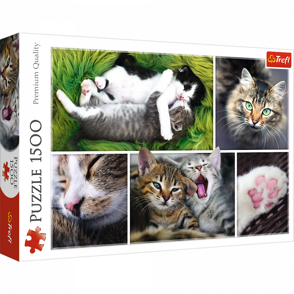 1500-T. Puzzle - Premium Quality / sortiert