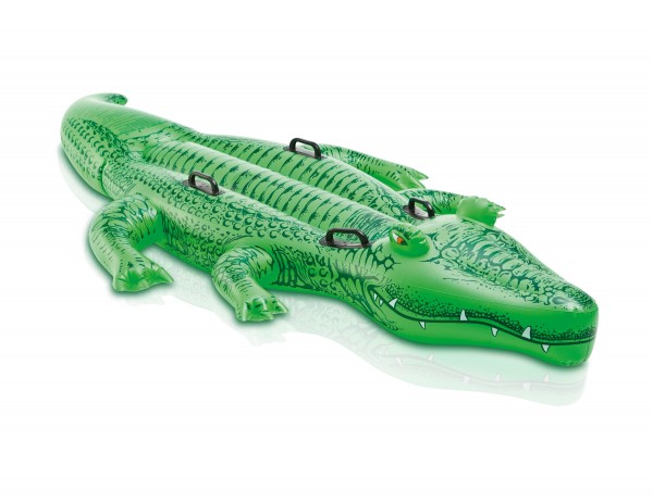Reittier Alligator