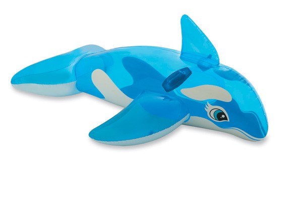 Reittier Kleiner Wal